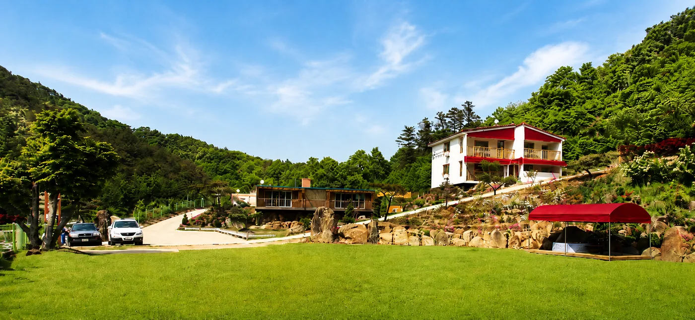 알렉스's 희망재기학교